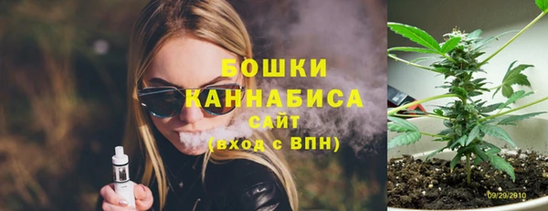 хмурый Абаза