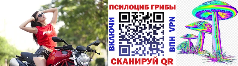 гидра сайт  Руза  Псилоцибиновые грибы Psilocybine cubensis  сайты даркнета состав  цена наркотик 